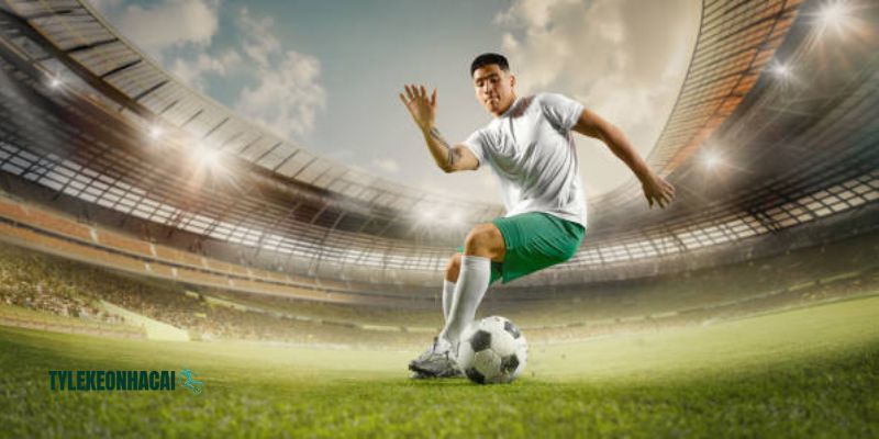 Một số danh mục nổi bật được dùng nhiều nhất trên nền tảng Một số danh mục nổi bật được dùng nhiều nhất trên nền tảng