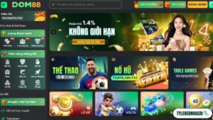 Nhà cái DOM88