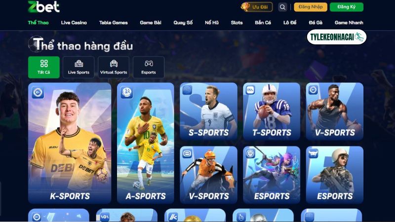 Sản phẩm thể thao chất lượng Sản phẩm thể thao chất lượng