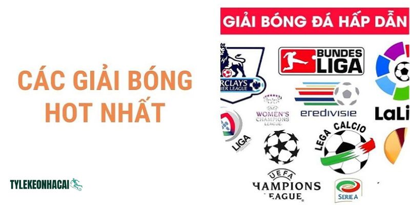 Tại lifemarketing.com.mx luôn cập nhật đầy đủ lịch mọi giải đấu bóng