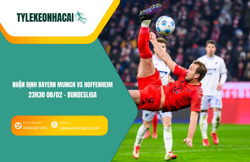 Đội hình dự kiến trước trận Bayern Munich vs Hoffenheim Đội hình dự kiến trước trận Bayern Munich vs Hoffenheim